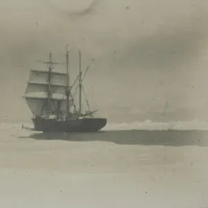 The Nimrod charging the ice of the Sound with her foresails set