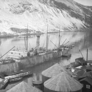 S. S. Coronda at Leith, South Georgia