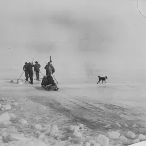 Sledging. Man-hauling a sledge on the ice