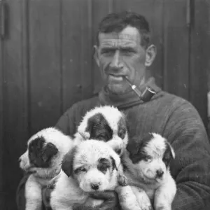 Tom Crean and the pups