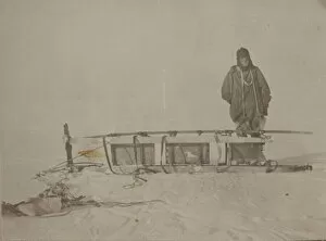 British Antarctic Expedition 1907-09 (Nimrod) Gallery: Adams standing by the sledge which was used on the furthest south journey