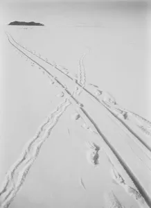 Images Dated 8th December 2015: Adelie penguin track and sledge track crossing. December 8th 1911