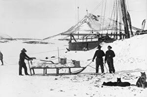 Sledge Gallery: A cargo of ice for fresh water