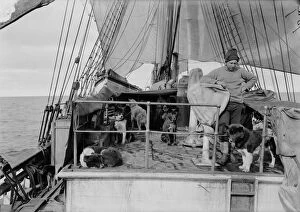 Cecil Meares and dogs on deck of Terra Nova. January 3rd 1911