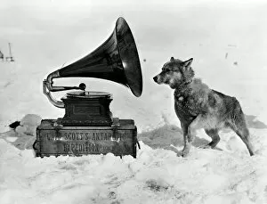 British Antarctic Expedition 1910-13 (Terra Nova) Gallery: Chris and the Gramophone