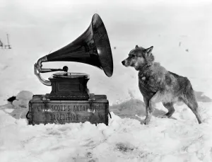 Trending: Chris and the Gramophone