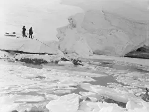 Antarctic Peninsula Gallery: Colin Bertram, unorthodox crossing rope bridge, 26 April 1935