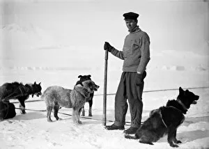 British Antarctic Expedition 1910-13 (Terra Nova) Gallery: Dimitri Geroff and some of the dogs