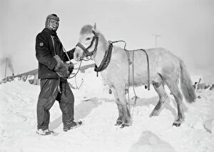 British Antarctic Expedition 1910-13 (Terra Nova) Collection: Edgar Evans and pony Snatcher. October 1911