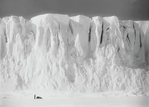 Images Dated 10th April 2015: End of the Barne Glacier. (Anton Omelchenko and sledge). December 2nd 1911