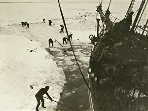 Images Dated 10th April 2015: Endeavouring to cut the ship out of the ice, February, 1915