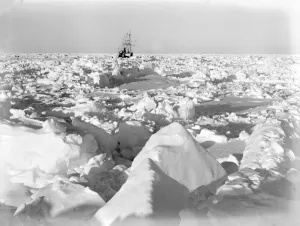 Images Dated 5th December 2014: The Endurance beset in the pack ice
