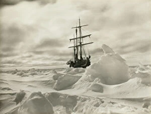 Imperial Trans-Antarctic Expedition 1914-17 (Endurance) Collection: Endurance waiting for the pack ice to open up