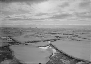 Images Dated 5th December 2014: Evening sky effect in pack. December 9th 1910