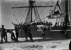 British Antarctic Expedition 1910-13 (Terra Nova) Gallery: Getting the ill-fated motor-sledge off the ship. January 8th 1911