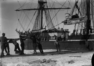 British Antarctic Expedition 1910-13 (Terra Nova) Gallery: Getting the ill-fated motor-sledge off the ship. January 8th 1911