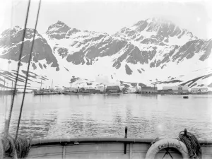 : Grytviken Whaling Station from the Endurance