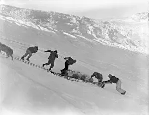 British Arctic Air Route Expedition 1930-31 Gallery: Hauling sledges up Bugbear bank with block and tackle