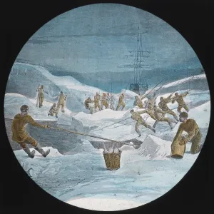 Images Dated 27th October 2017: Homeward bound (cutting a way through the ice)