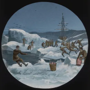 Images Dated 27th October 2017: Homeward bound (cutting a way through the ice)