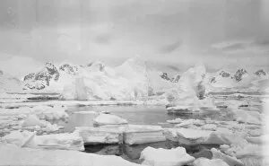 British Expedition to Graham Land, 1920-22 Collection: Icebergs, Waterboat Point, Paradise Bay