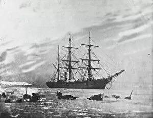 Galleries: British Arctic Expedition 1875-76