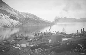 British Graham Land Expedition 1934-37 Collection: Leith Harbour, South Georgia, general view from behind station