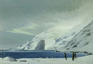 Sea Ice Collection: Looking east from Lookout Point, men and penguins, Elephant Island, 1916