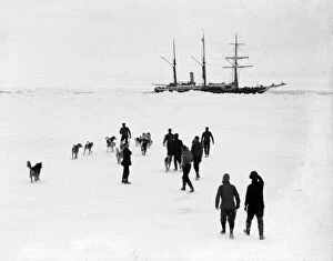 Imperial Trans-Antarctic Expedition 1914-17 (Endurance) Gallery: Men and dogs on the ice, Endurance in the background