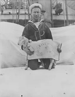Antarctic Relief Expeditions 1902-04 Collection: The Mornings goat