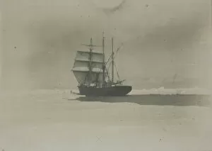 British Antarctic Expedition 1907-09 (Nimrod) Collection: The Nimrod charging the ice of the Sound with her foresails set