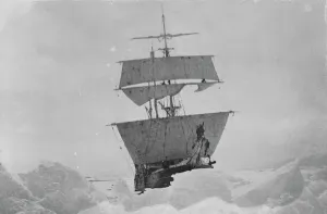 : Nimrod held up in the ice