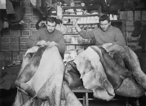 : Petty Officers Evans and Crean mending sleeping bags