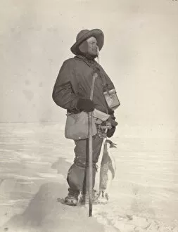 British National Antarctic Expedition 1901-04 (Discovery) Collection: Royds with Albino Penguin