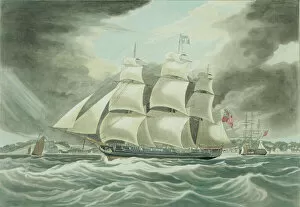 Sailing Ships Collection: The Samuel Enderby