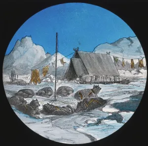 Images Dated 27th October 2017: Sledge travelling (method of fastening the dogs)