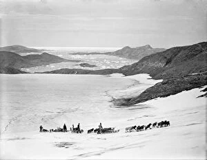 British Arctic Air Route Expedition 1930-31 Gallery: Sledges ascending Bug-bear bank, Base Fjord in background