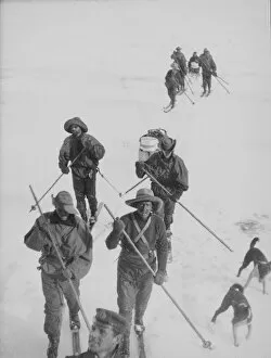 Antarctic Relief Expeditions 1902-04 Gallery: Sledging