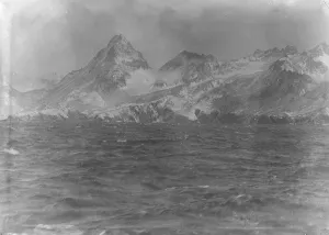 Coast Prints: South Georgia