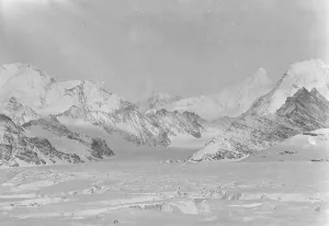Snow Prints: South Georgia