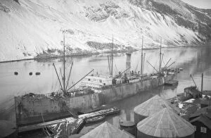 Images Dated 18th March 2016: S.S. Coronda at Leith, South Georgia