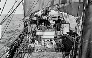 British Antarctic Expedition 1910-13 (Terra Nova) Gallery: View of deck of Terra Nova with dogs from engine room hatch. January 3rd 1911