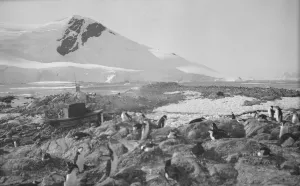 British Expedition to Graham Land, 1920-22 Collection: Waterboat Point, Paradise Bay