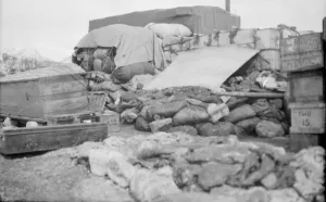 British Expedition to Graham Land, 1920-22 Collection: Waterboat Point, Paradise Bay