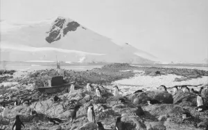 British Expedition to Graham Land, 1920-22 Collection: Waterboat Point, Paradise Bay