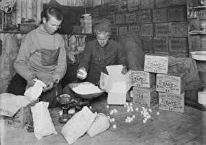 British Antarctic Expedition 1910-13 (Terra Nova) Gallery: At Winterquarters Hut, packing sugar for sledging rations. January 1912